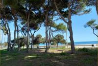 Grundstück kaufen Sa Coma klein u6bkm31jiihv