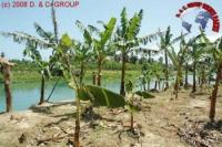 Grundstück kaufen Sabaneta klein 6bre2885pvcf