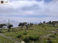 Grundstück kaufen Saktouria klein z083ofrs4k25