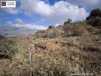 Grundstück kaufen Sakturia klein 6fjizkyyv7st