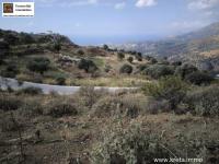 Grundstück kaufen Sakturia klein olsvwapbo7nk