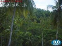 Grundstück kaufen Sanchez-Samana klein 1zj8zalcxc3i