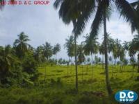 Grundstück kaufen Sanchez-Samana klein erwmgcsxsdzf