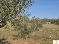 Grundstück kaufen Sant Llorenç des Cardassar klein 8wth0lxumvsj