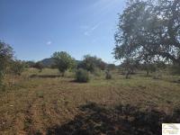 Grundstück kaufen Sant Llorenç des Cardassar klein g7n02ivl9lm3