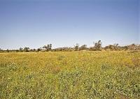 Grundstück kaufen Santanyí klein urv7i8zny03o