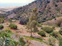 Grundstück kaufen Sayalonga klein wsx59zrons6v