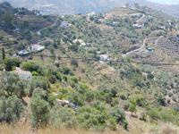 Grundstück kaufen Sayalonga klein zo3pwu5p0blm