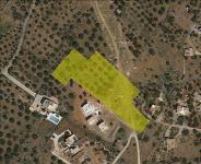 Grundstück kaufen Schisma Eloundas klein mu5nwobkvfeq