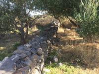 Grundstück kaufen Schisma Eloundas klein wb9k8p94tlmz