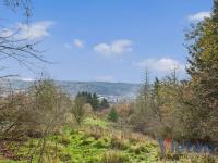 Grundstück kaufen Schleiden klein 0eb95xke10df