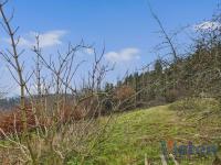 Grundstück kaufen Schleiden klein 0nft1t3cq6ku