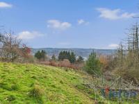 Grundstück kaufen Schleiden klein 3n5rd7hh0jwp