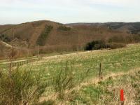 Grundstück kaufen Schleiden klein lsuu1t358pbc