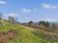 Grundstück kaufen Schleiden klein w7wsl91rfmit