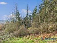 Grundstück kaufen Schleiden klein x6vno2ysh9ex