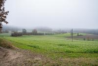 Grundstück kaufen Schwarzhofen klein fy59nnw6fjwi