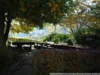 Grundstück kaufen Seebach klein r8p5cu3v1xtp