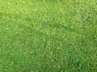 Grundstück kaufen Selfkant - Wehr klein 1z40vzhapc9t