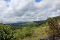 Grundstück kaufen Shimba Hills klein ox1m30nw2t2t