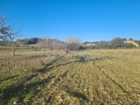 Grundstück kaufen Sineu klein dta9x0rxh9qm