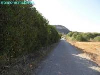 Grundstück kaufen Sineu klein f0p3qrs4lf87