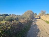 Grundstück kaufen Sineu klein g097j81iljxr