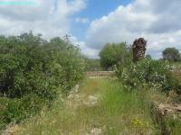 Grundstück kaufen Sineu klein i8nmos750qbs