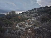 Grundstück kaufen Sisi klein sbucwnhzi6ht