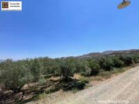 Grundstück kaufen Sivas klein e14pvzr0eb87