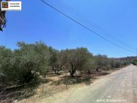 Grundstück kaufen Sivas klein l9wm3mx5bphv