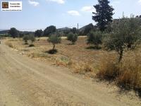 Grundstück kaufen Sivas klein pct2j8b5awa9