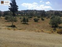 Grundstück kaufen Sivas klein tm6bhw2a9d2x