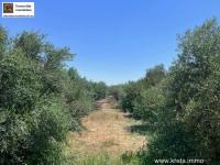 Grundstück kaufen Sivas klein tqveyp62uuim