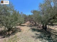 Grundstück kaufen Sivas klein x8lsxo1z2tvx