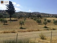 Grundstück kaufen Sivas klein z4h1be6lvrw4