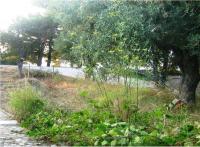 Grundstück kaufen Skala Sotiros Thasos klein yiibj5xitv8q