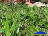 Grundstück kaufen Sosua klein kue8qd2iawz3