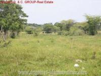 Grundstück kaufen Sosua klein l1hgxnphfynf