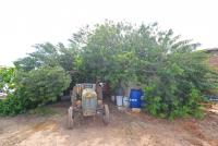 Grundstück kaufen Sotira klein 280fiv0ahynz