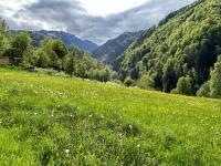 Grundstück kaufen St. Gallen klein 30dwgnj82xny