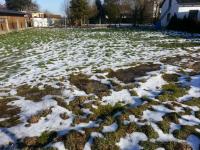 Grundstück kaufen St. Peter am Hart klein 9fnvrapmatoq