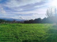 Grundstück kaufen Stalos klein ir3ofm1avzmg