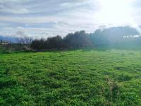 Grundstück kaufen Stalos klein m6c7samll5rf