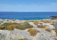 Grundstück kaufen Stavros klein 12p288h0mowl