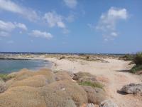 Grundstück kaufen Stavros klein 5v4y2h7guujq