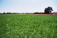 Grundstück kaufen Stephanskirchen klein j7gthi80venz