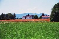 Grundstück kaufen Stephanskirchen klein mgqjpsjqtoik