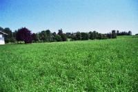 Grundstück kaufen Stephanskirchen klein nu3zqaee0wk5