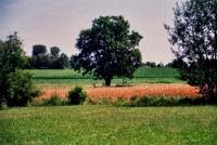 Grundstück kaufen Stephanskirchen klein vmvibtdpc5o7